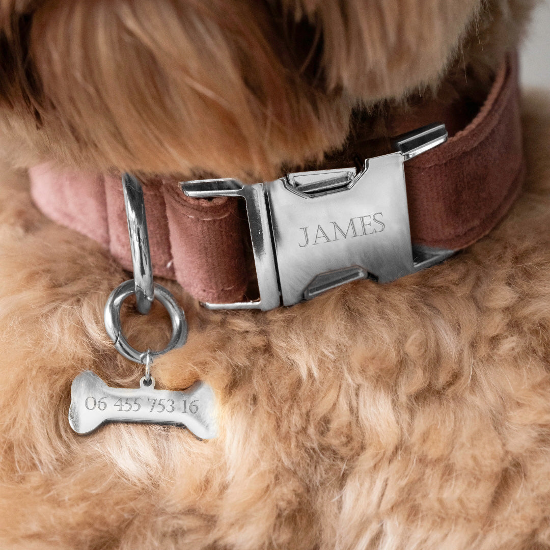 Hundehalsband mit Namen Vintage Rose - Edelstahl silber