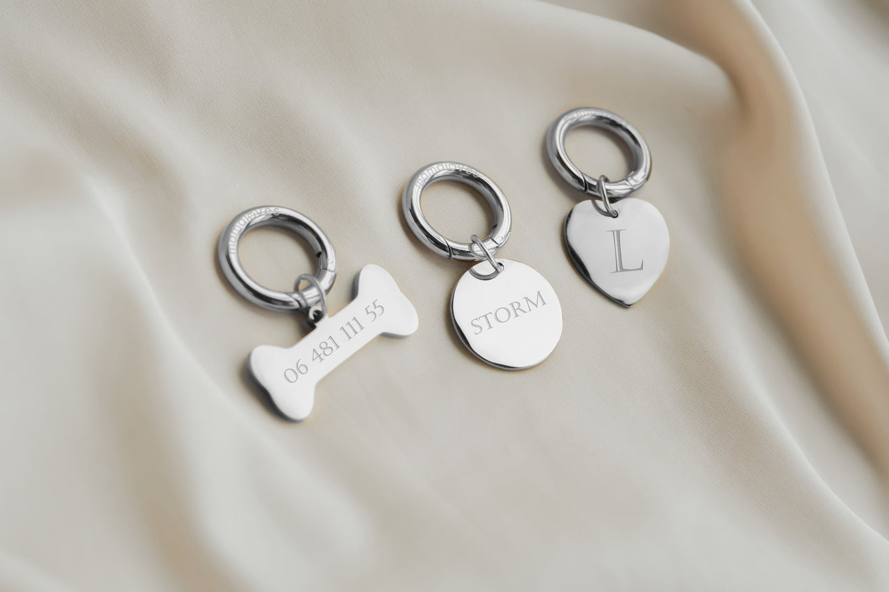 Pet Tag Bone - RVS zilver