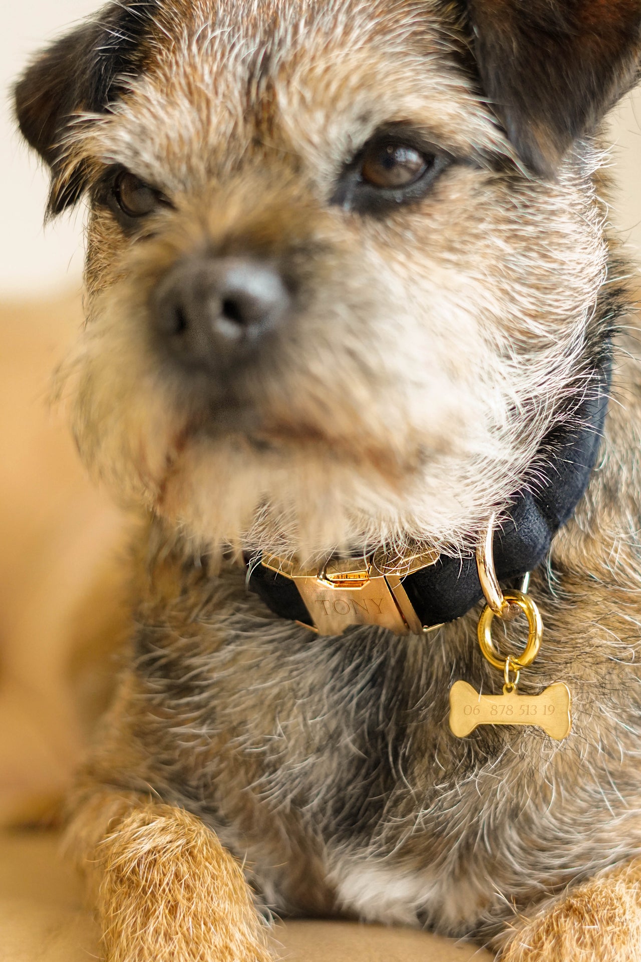 Pet Tag Bone - RVS goud