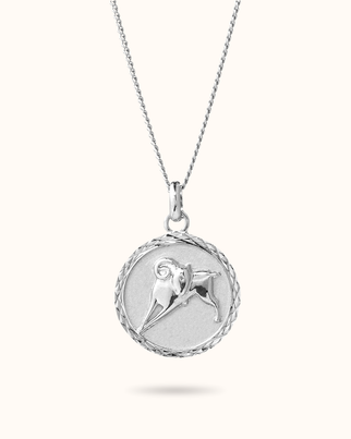 Sternzeichen Kette - Silber