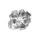 Charms Perles Fleur de Naissance - Argent Sterling 925