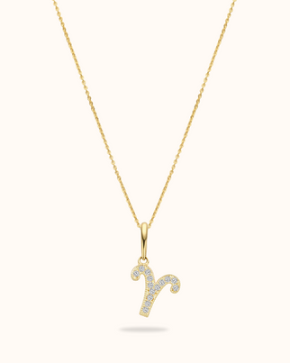 14k Zodiac Crystal Necklace - 14k gold