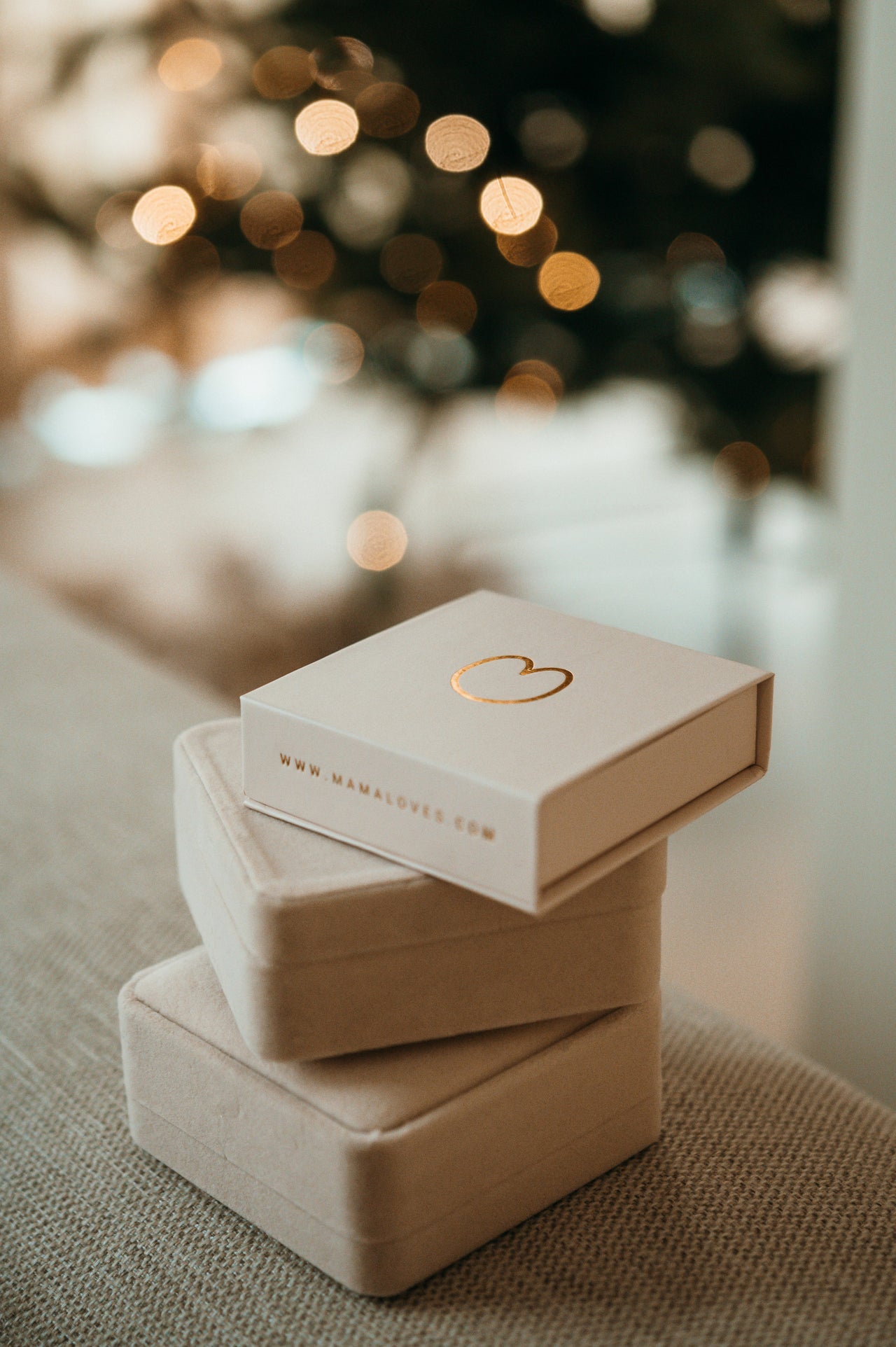 Luxe Schmuck Box