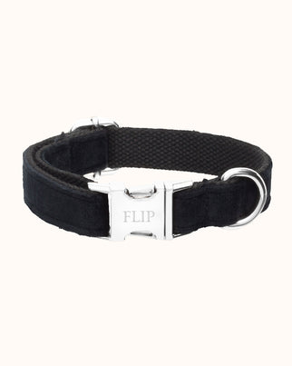 Hundehalsband mit Name Velvent Noir - Edelstahl silber