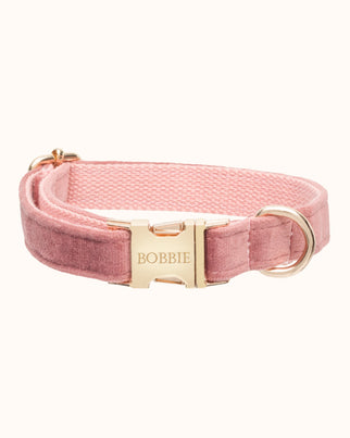 Hundehalsband mit Namen Vintage Rose - Edelstahl gold