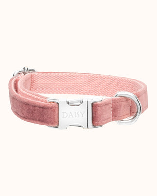 Collier de Chien avec Nom Vintage Rose - Acier inoxydable argent