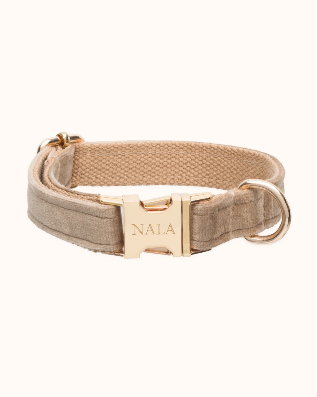 Dog Collar with name Warm Biscuit - Stainless steel gold