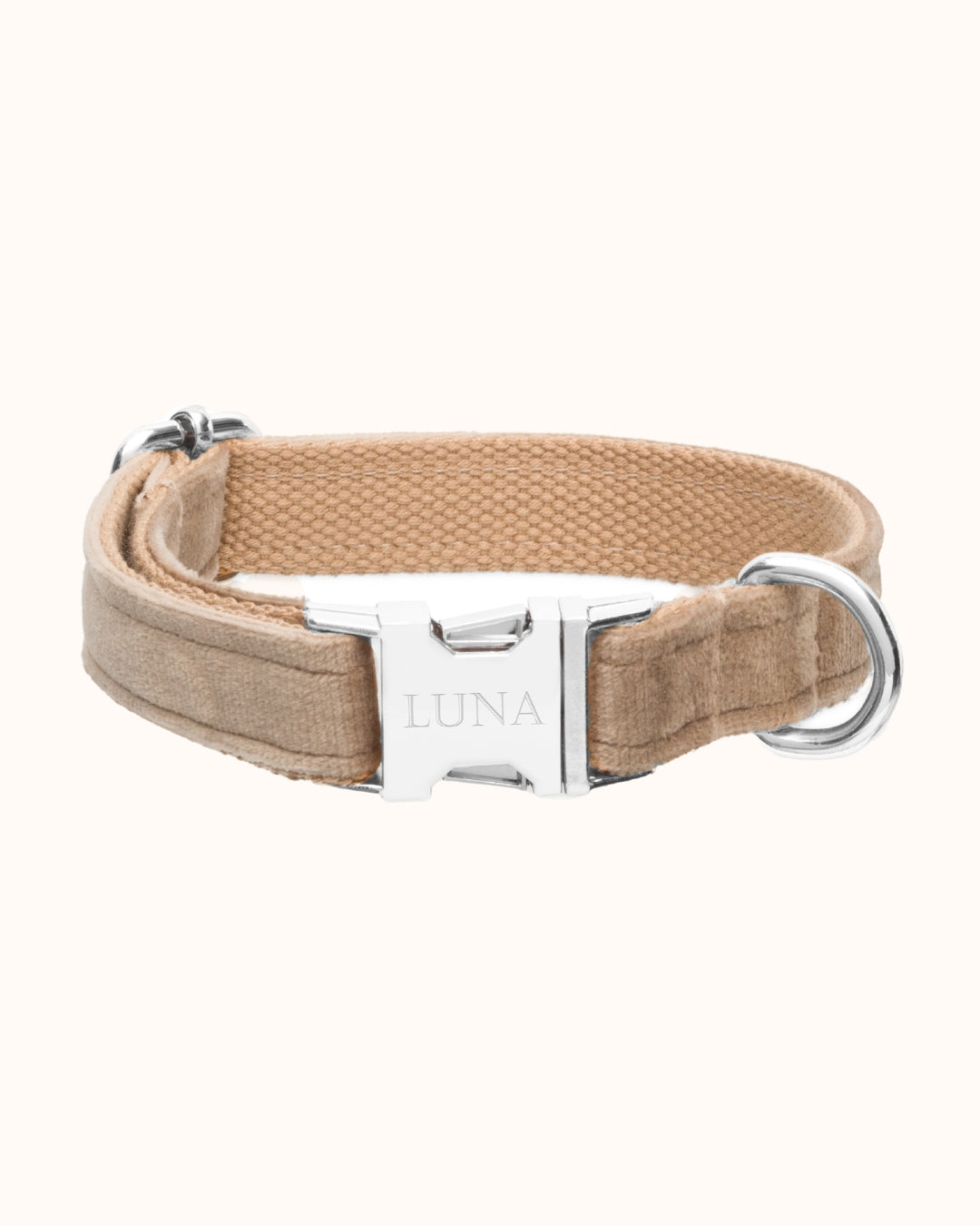 Dog Collar with name Warm Biscuit - Stainless steel silver