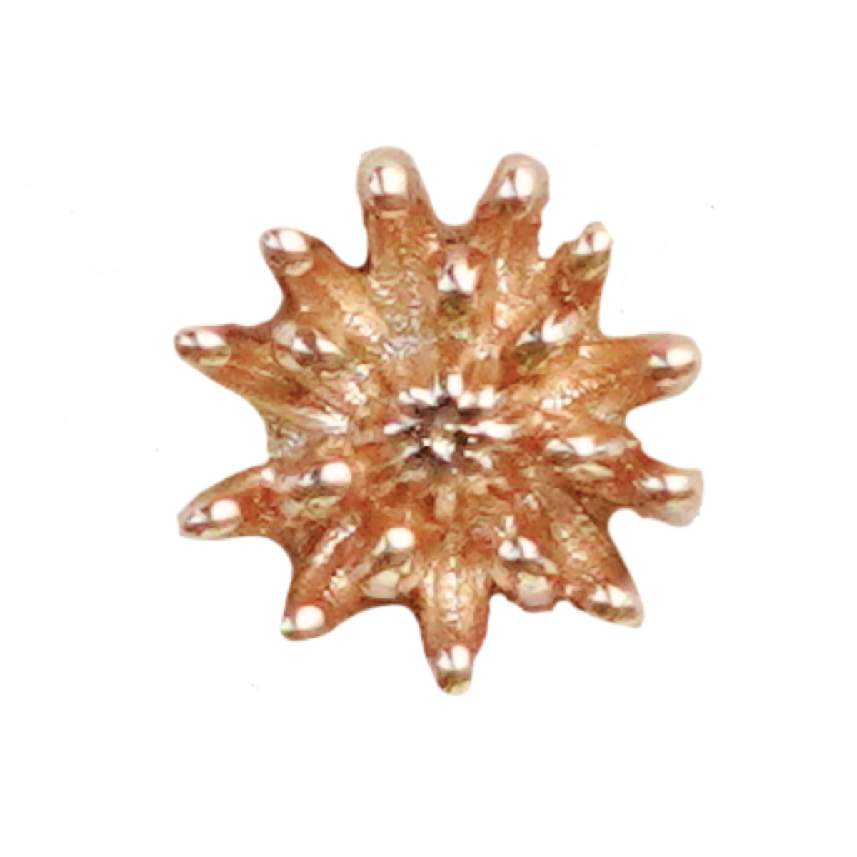 Bedel Sliding Birthflower - Verguld