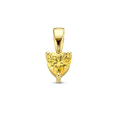 Charme Coeur Pierre de Naissance - Or Massif 14 Carats