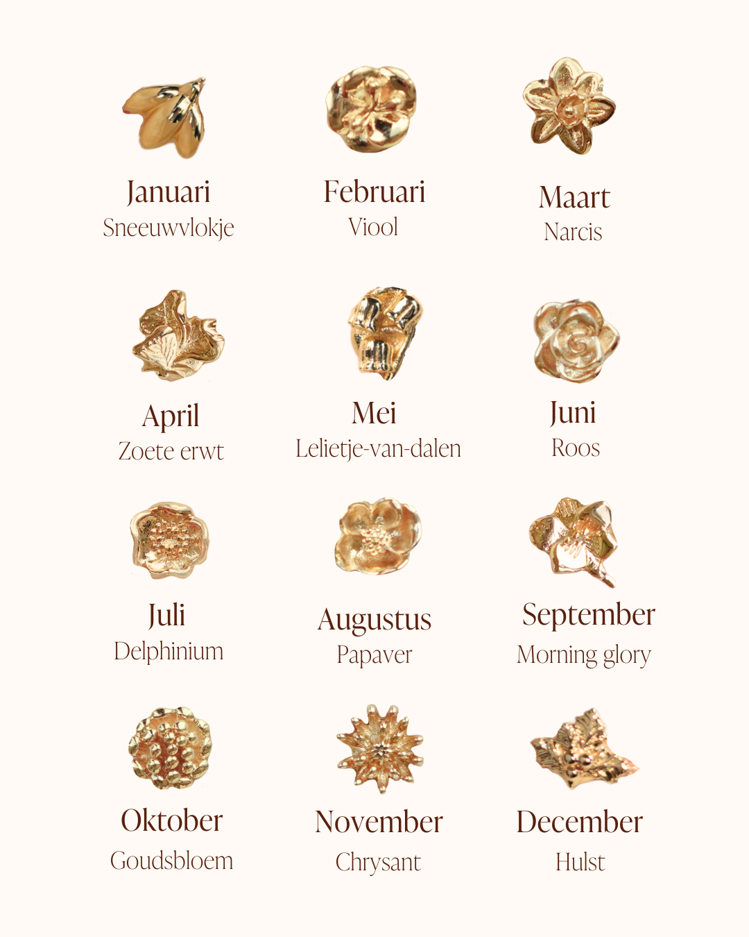  lang=[nl]
