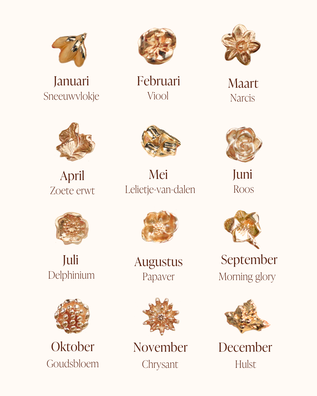  lang=[nl]