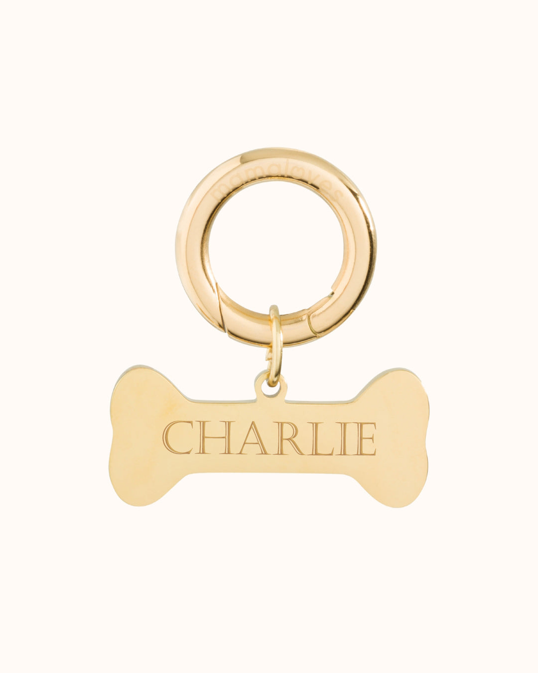 Pet Tag Bone - Stainless steel gold