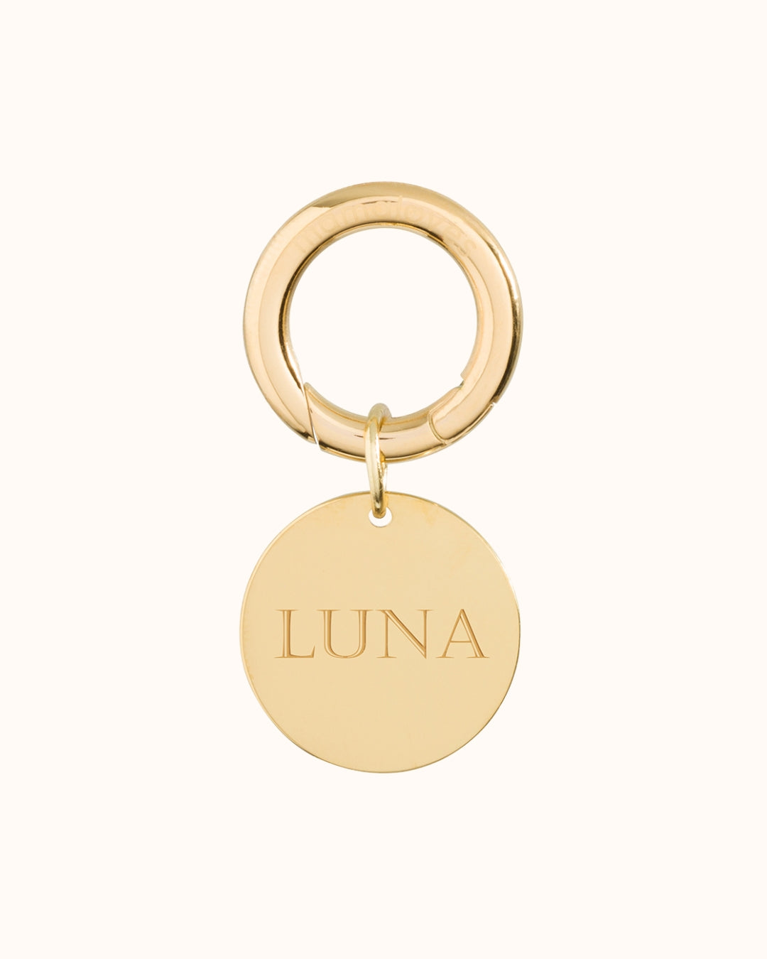 Pendentif Rond Tag Animal de Compagnie - Acier inoxydable or