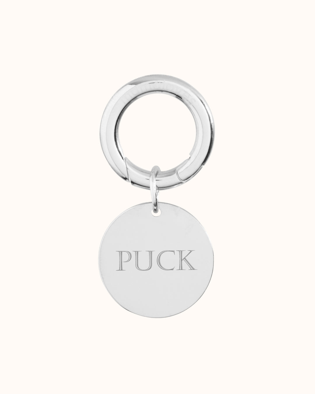 Pendentif Rond Tag Animal de Compagnie - Acier inoxydable argent