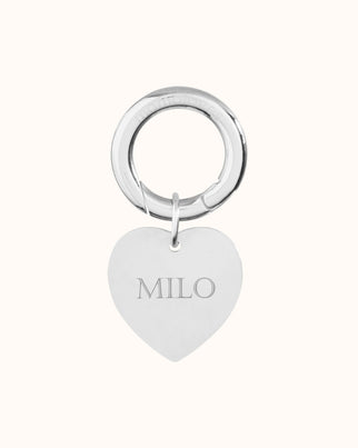 Pet Tag Heart - Stainless steel silver