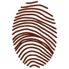 Single fingerprint