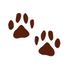 Two pawprints