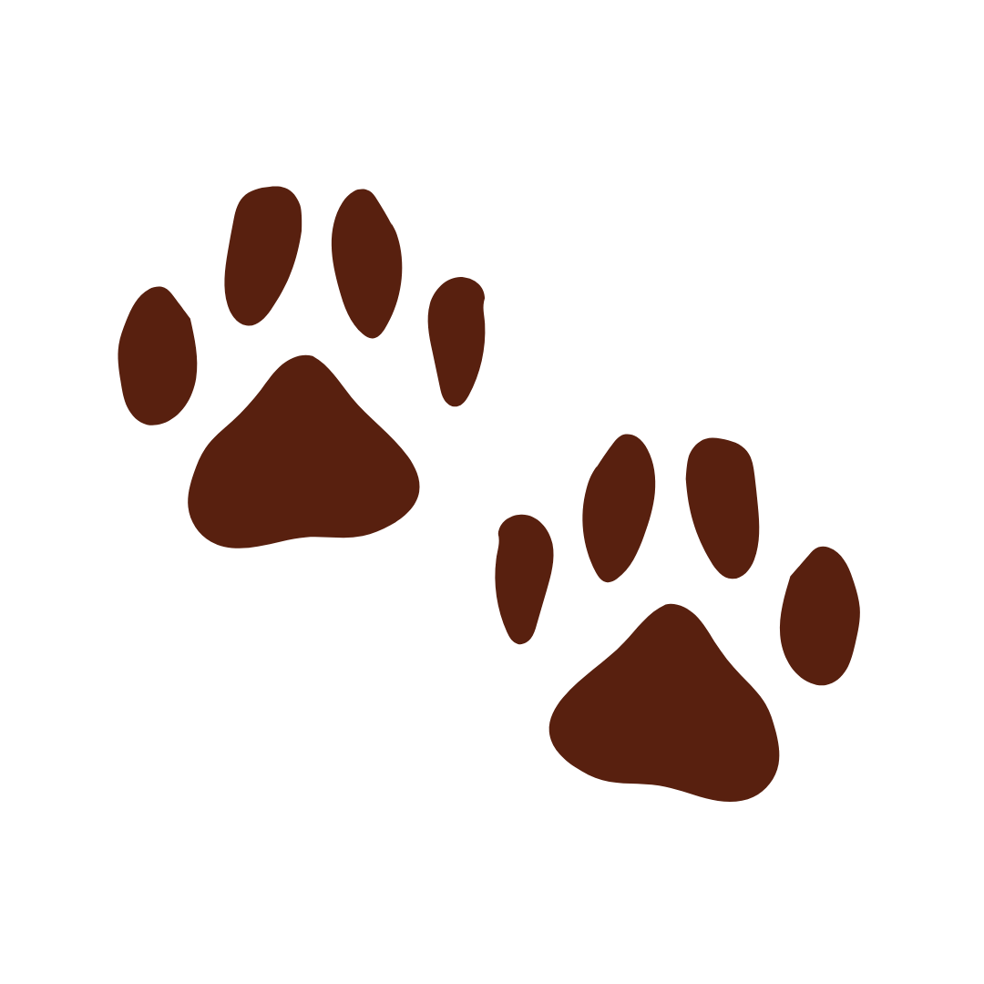 Two pawprints